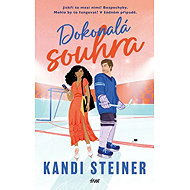 Dokonalá souhra - Kandi Steiner
