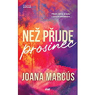 Než přijde prosinec - 