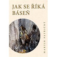 Jak se říká báseň - Martin Patřičný