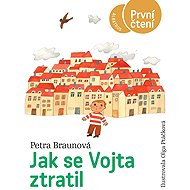 Jak se Vojta ztratil - Petra Braunová; Olga Ptáčková