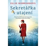 Sekretářka v utajení - 