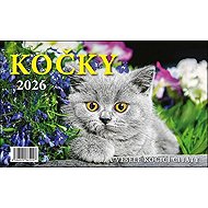 BB ART Cats 2026 - Desk Calendar