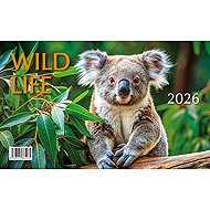 BB ART Cubs Wild life 2026 - Desk Calendar