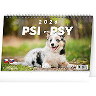 NOTIQUE Psi 2026 - Desk Calendar