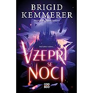 Vzepři se noci - Brigid Kemmerer