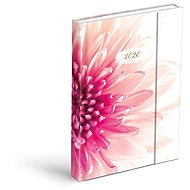 MFP Diary 2026 D801 Lamino 2 with magnet - Planner