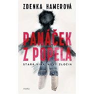 Panáček z popela - Zdenka Hamerová