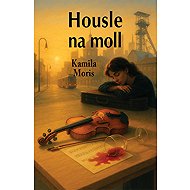 Housle na moll - 
