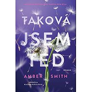 Taková jsem teď - Amber Smith