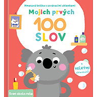 Mojich prvých 100 slov Svet okolo mňa - 