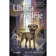 Ulička naděje - McCall Hoyleová