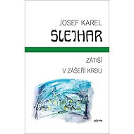 Zátiší V zášeří krbu - Josef Karel Šlejhar