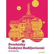 Procházky Českými Budějovicemi: od Budějčandy - 
