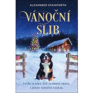 Vánoční slib - Alexander Stainforth