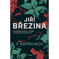 V kopřivách - Jiří Březina