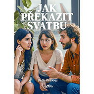Jak překazit svatbu - Beth Reekles