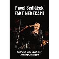 Fakt nekecám!: Rock'n'roll, holky a duch doby - Pavel Sedláček; Jiří Mejstřík