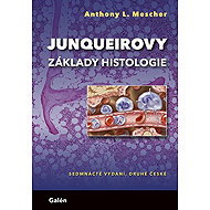Junqueirovy základy histologie - Anthony L. Mescher