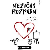 Mezičas rozpadu - Radek Váňa
