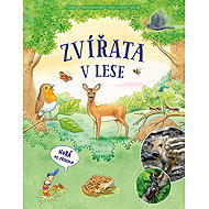 Zvířata v lese - Friederun Reichenstetterová