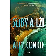 Sliby a lži - Ally Condieová