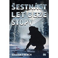 Šestnáct let beze stopy - French Gillian