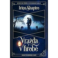 Vražda v hrobě - Irina Shapiro