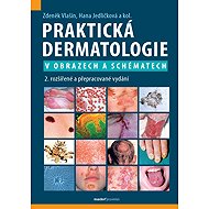 Praktická dermatologie v obrazech a schématech - 