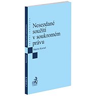 Nesezdané soužití v soukromém právu - 