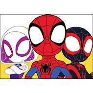 Moje omalovánky Spidey - 