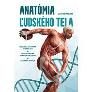 Anatómia ľudského tela - 