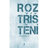 Roztříštění - 