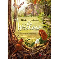 Dívka jménem Willow - Sabine Bohlmannová