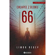 Chlapec z bloku 66 - Limor Regev