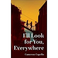I'll Look for You, Everywhere - 
