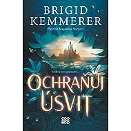 Ochraňuj úsvit - Brigid Kemmerer