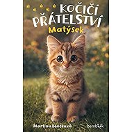 Kočičí přátelství Matýsek - Martina Boučková