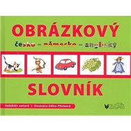 Obrázkový slovník česko -  německo - anglický - collective of authors