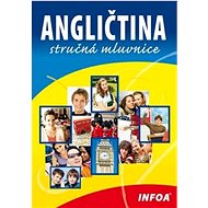 Angličtina stručná mluvnice - 
