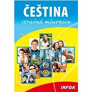 Čeština stručná mluvnice - 