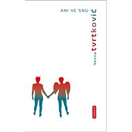 Ani ve snu - 