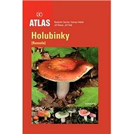Holubinky - Radomír Socha