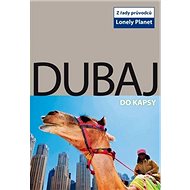 Dubaj do kapsy - Olivia Pozzan