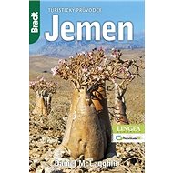 Jemen: Turistický průvodce - Daniel McLaughlin