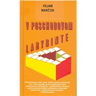 V poschodovom labyrinte - 