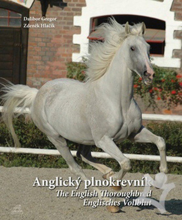Anglický plnokrevník - Zdeněk Hlačík