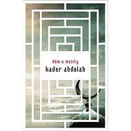 Dům u mešity - Kader Abdolah