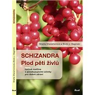 Schizandra Plod pěti živlů - Shalila Sharamonová; Bodo J. Baginski