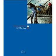 Stébla zkoušet - Jiří Mareček