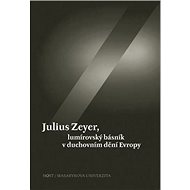 Julius Zeyer, lumírovský básník v duchovním dění Evropy - Jiří Kudrnáč; Luisa Nováková